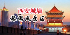 骚视频在线观看中国陕西-西安城墙旅游风景区
